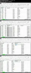 Lynda - Cleaning Up Your Excel 2013 Data (repost)