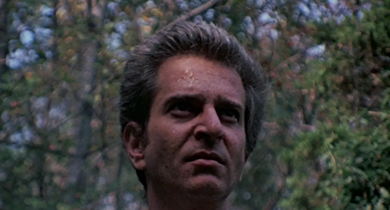 The Last House on the Left (1972)