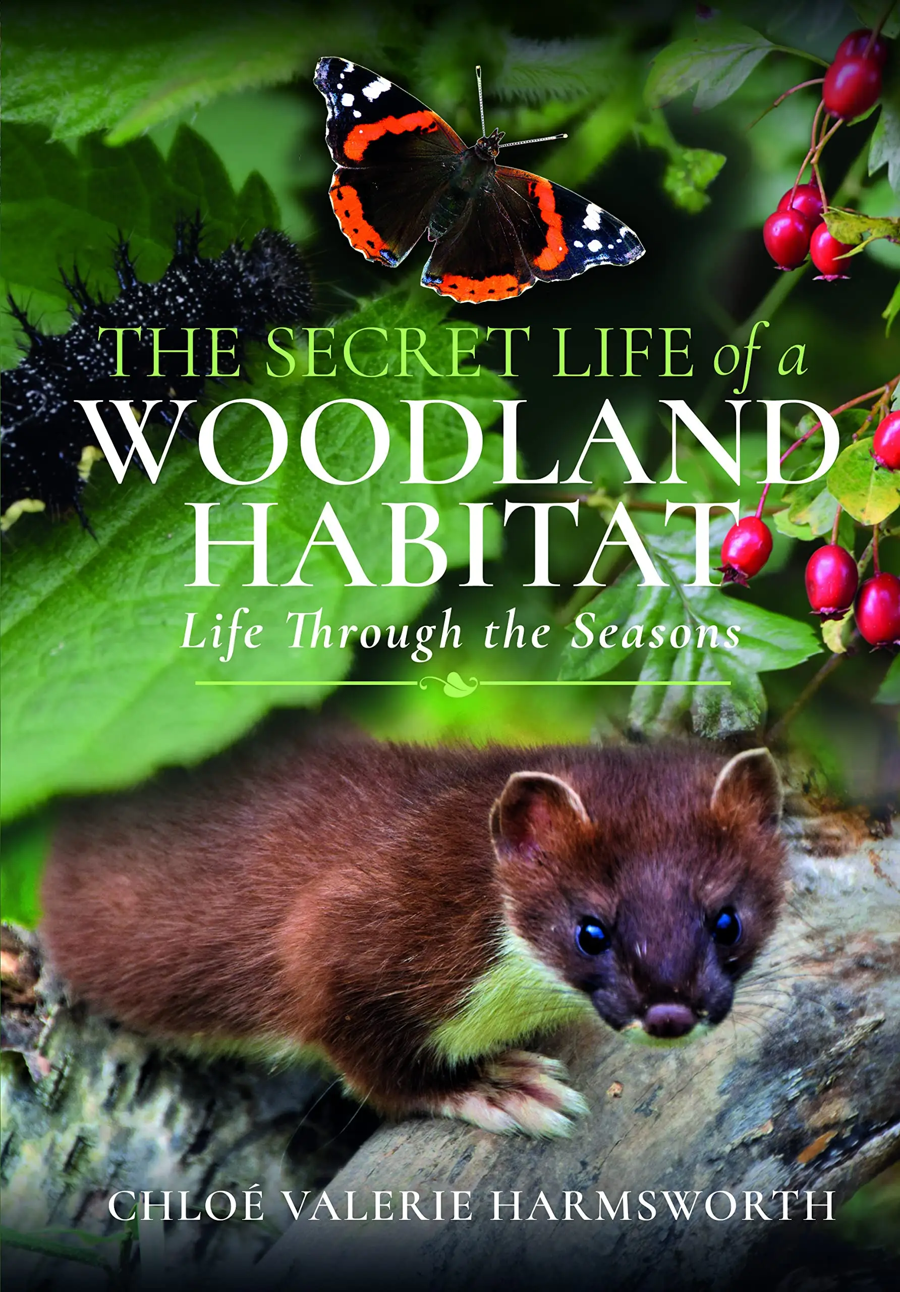 the-secret-life-of-a-woodland-habitat-life-through-the-seasons-avaxhome