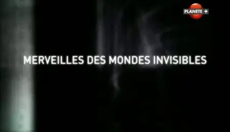 (Planète) Merveilles des mondes invisibles (2011)