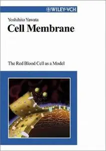 Cell Membrane: The Red Blood Cell as a Model by Yoshihito Yawata [Repost]