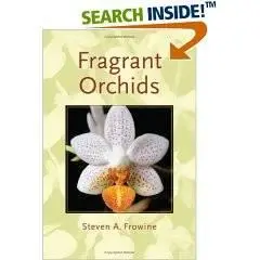 Fragrant Orchids