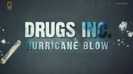 NG Drugs Inc - Hurricane Blow (2012)