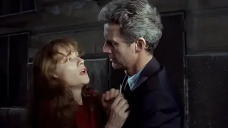 Malina (1991)