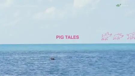 Pig Tales (2023)