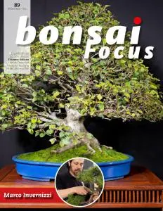 Bonsai Focus (Italian Edition) N.89 - Settembre-Ottobre 2020