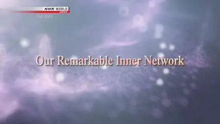 NHK Documentary - THE BODY: Our Remarkable Inner Network (2018)