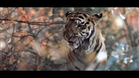 Dersu Uzala (1975) [Re-UP]