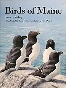 Birds of Maine