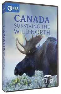 PBS Nature - Canada: Surviving the Wild North (2022)