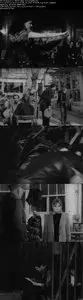 Vesikali yarim (1968)