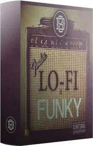 12 Bit Soul Presents Lo-Fi and Funky WAV