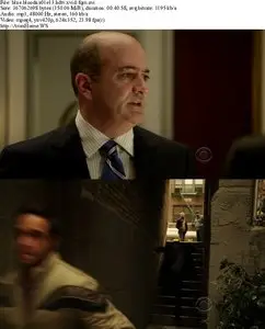 Blue Bloods S01E13