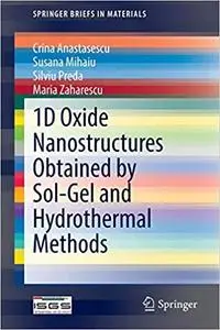 1D Oxide Nanostructures Obtained by Sol-Gel and Hydrothermal Methods (Repost)