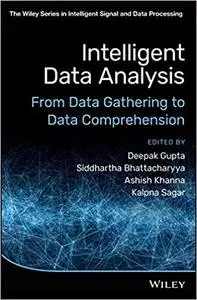 Intelligent Data Analysis: From Data Gathering to Data Comprehension