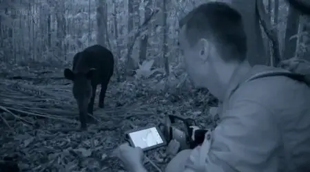 BBC - The Dark: Nature's Nighttime World (2012)