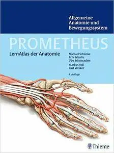 Allgemeine Anatomie und Bewegungssystem (repost)