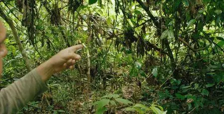 BBC - Amazon Explorers: Into the Peak of Mist (2018)