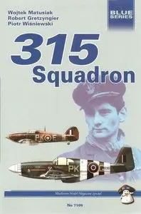 Mushroom Blue Series 7105: 315 Squadron