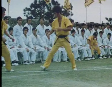 The Life of Bruce Lee (1994)