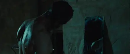 The Rover (2014)