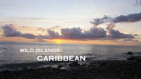 National Geographic - Wild Islands: Caribbean (2015)