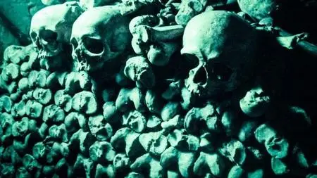 CH5 - The Black Death: A Plague Upon the World (2023)
