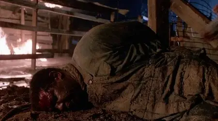 Mississippi Burning - by Alan Parker (1988)