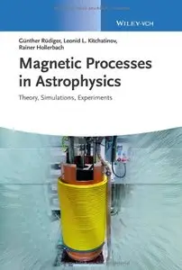 Magnetic Processes in Astrophysics: Theory, Simulations, Experiments