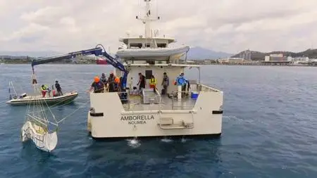 Shark Movers: Deadly Cargo (2019)