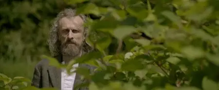 Borgman (2013)