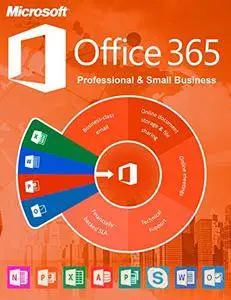Microsoft Office 365: Professionals And Small Businesses