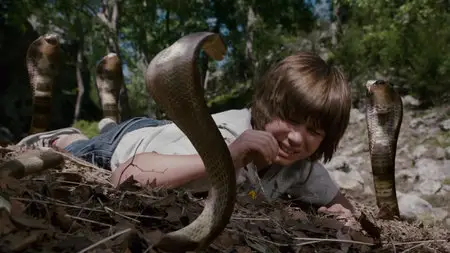 Shorts (2009)