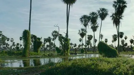 Zama (2017)