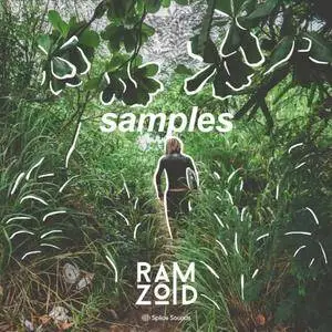 Splice Sounds Ramzoid Samples WAV