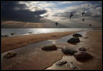 World In Photo 222