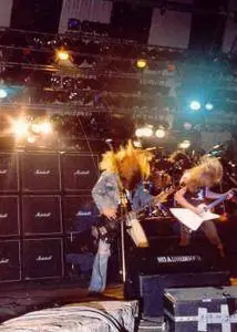 Metallica - We'll Nail You Down (1986)