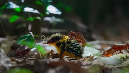 Tiny World S02E04