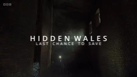 BBC - Hidden Wales: Last Chance to Save (2022)