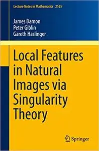 Local Features in Natural Images via Singularity Theory (Repost)