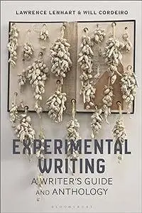 Experimental Writing: A Writer's Guide and Anthology