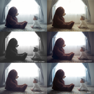 KCC Actions - Moody Tone LR Bundle