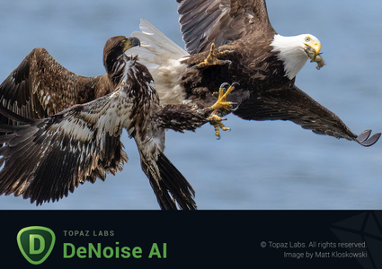 Topaz DeNoise AI v3.1.0 (x64) Portable