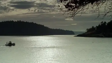 BBC Natural World - Killer Whales: Beneath the Surface (2013)