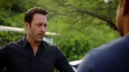 Hawaii Five-0 S10E20