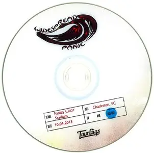 Widespread Panic - Live At Family Circle Stadium, Charleston 04.10.2013 (2013) Blu-ray