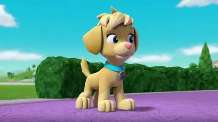 Paw Patrol S06E16