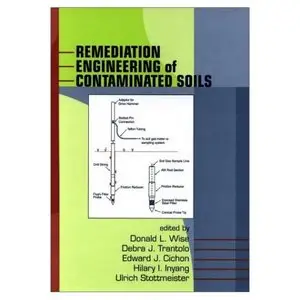 Remediation Engineering of Contaminated Soils