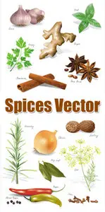 Spices Vector 