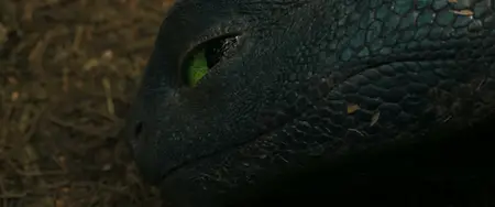 How to Train Your Dragon (2025)